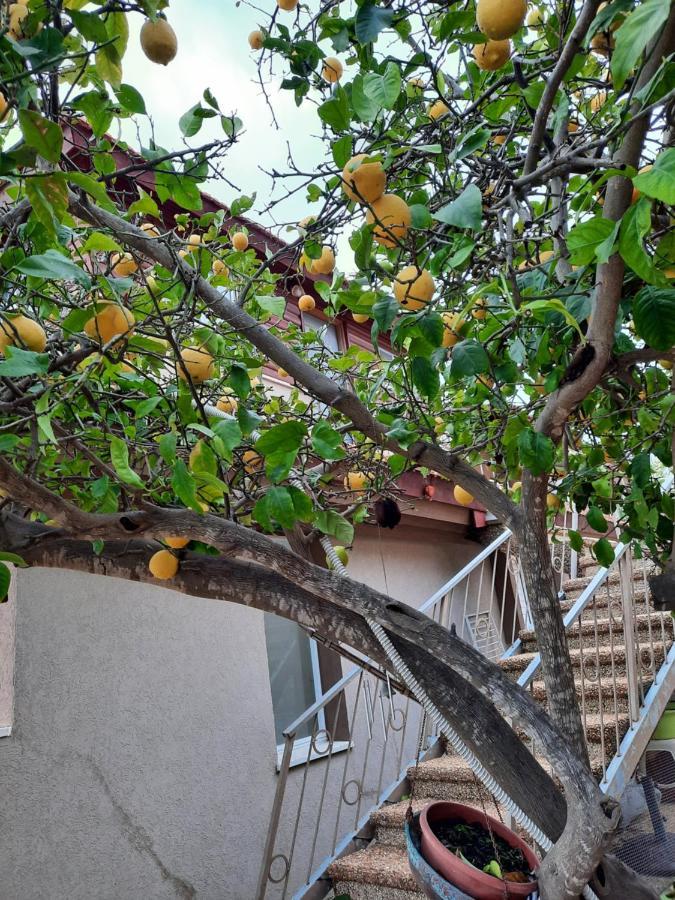 יחידת נוף הרים Nof Harim